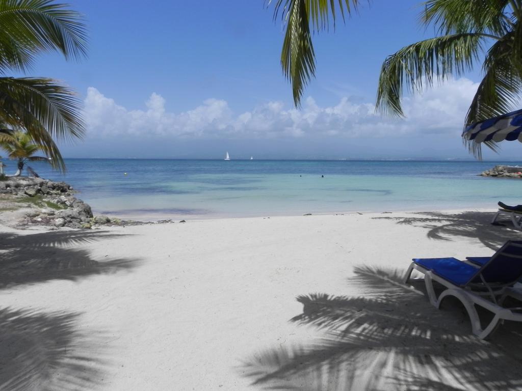 Appartement Bord De Mer Tres Fonctionnel , Sur La Plage & Vue Mer Exceptionnelle Le Gosier  Værelse billede