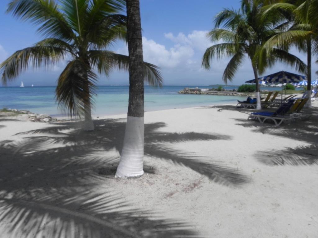 Appartement Bord De Mer Tres Fonctionnel , Sur La Plage & Vue Mer Exceptionnelle Le Gosier  Værelse billede